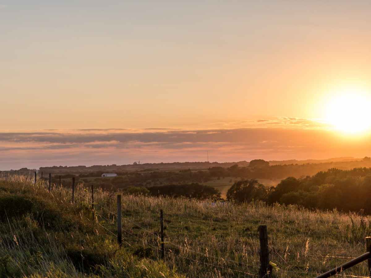 Review: Forestry on the Great&nbsp;Plains